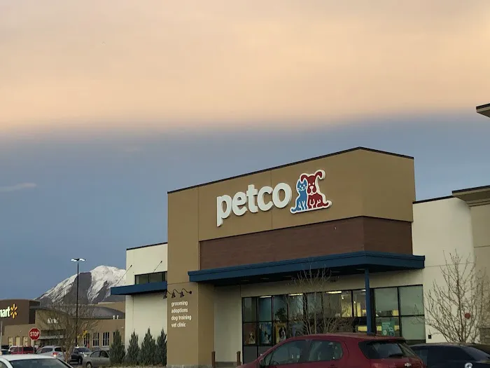 Petco 12