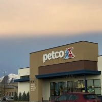 Petco ico