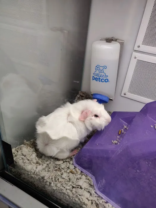 Petco 12
