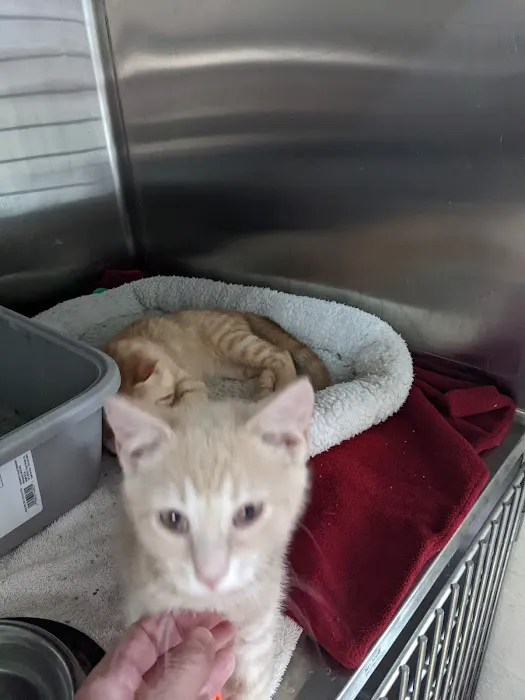 Cryan Veterinary Hospital 12