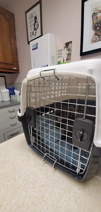 Petlovers Animal Hospital 3