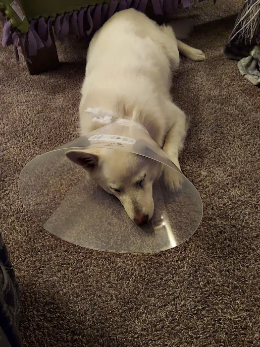 Rosehill Veterinary Hospital 12