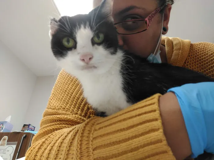 Rosehill Veterinary Hospital 12