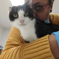 Rosehill Veterinary Hospital ico