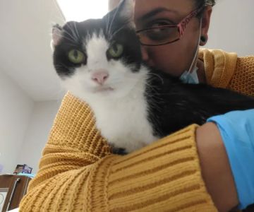 Rosehill Veterinary Hospital