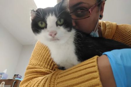 Rosehill Veterinary Hospital