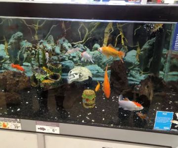 Petco