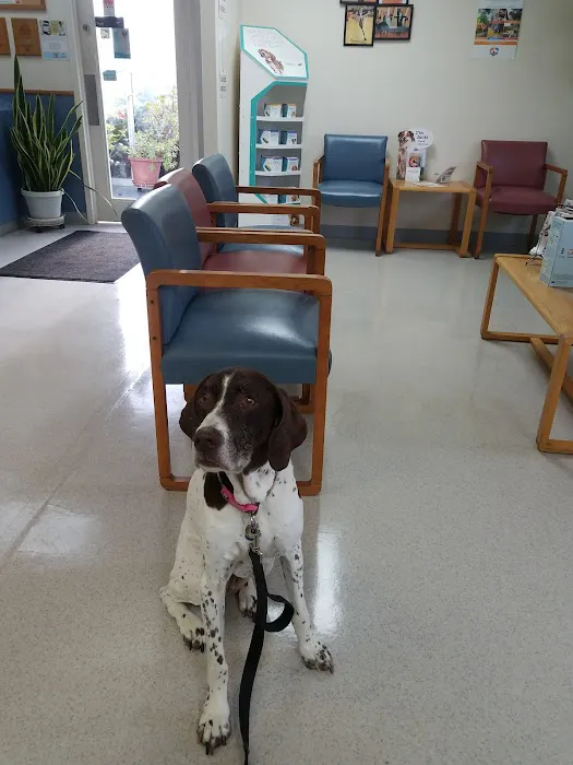 Indian Creek Veterinary Hospital 4