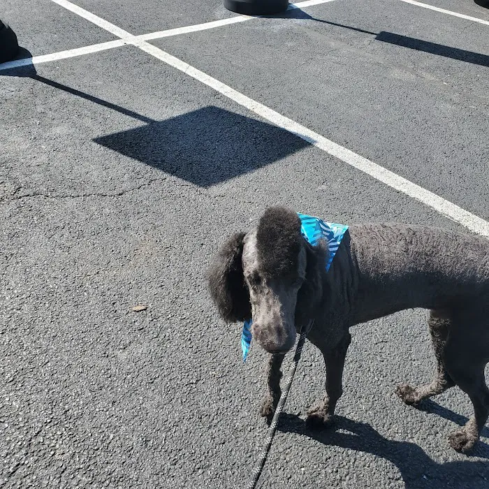Indian Creek Veterinary Hospital 3