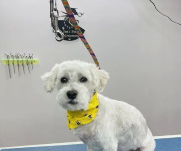 Indian Creek Veterinary Hospital