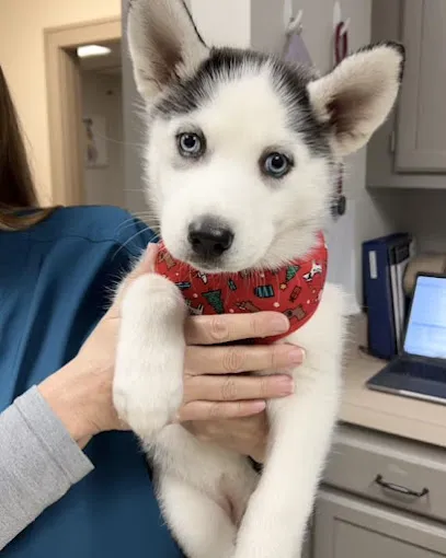 Groveport Animal Clinic 12