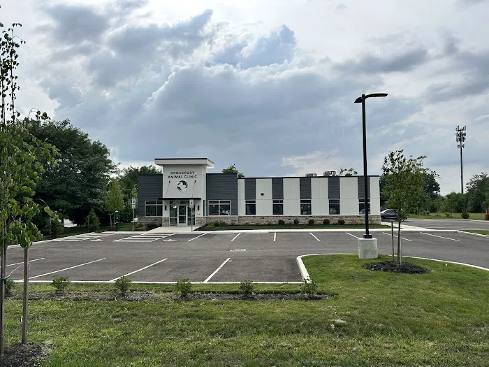 Groveport Animal Clinic 12