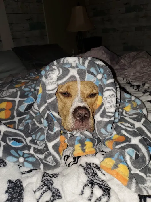 Banfield Pet Hospital 12