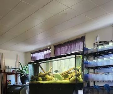 ADHD Aquatics