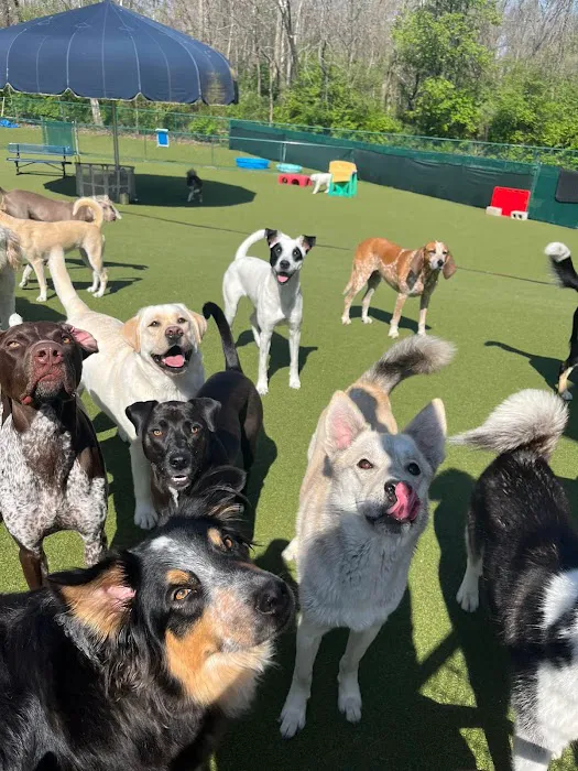 Animal Care Center at Cherry Way 12