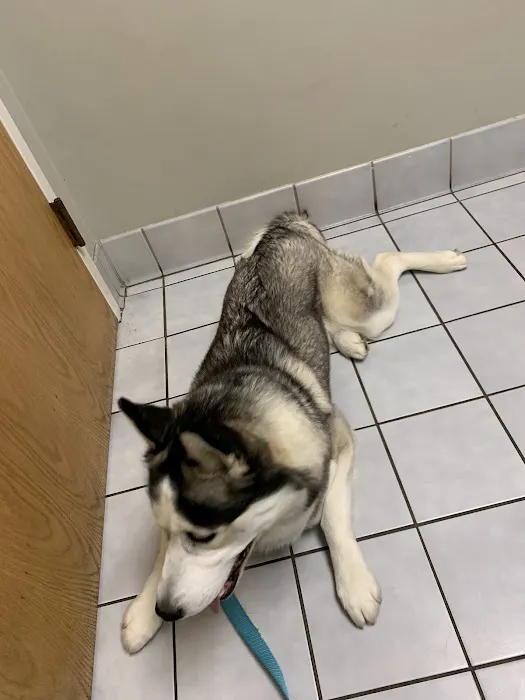 Animal Care Center at Cherry Way 12