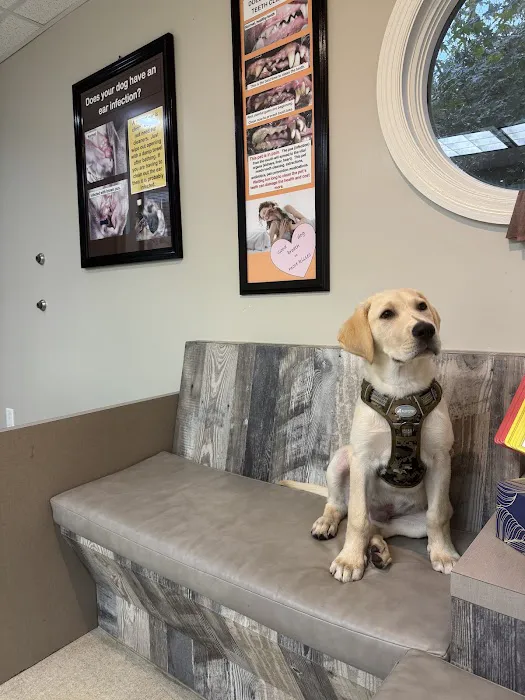 Dogs Only Medical Center 12