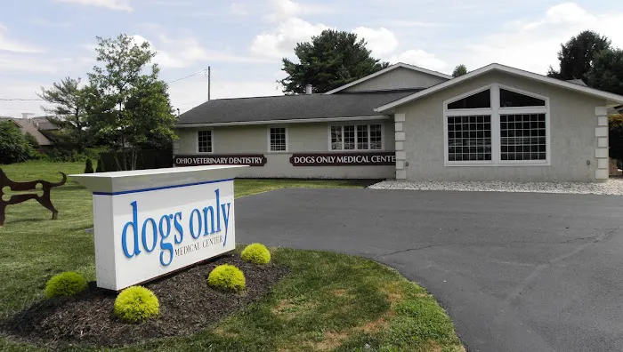 Ohio Veterinary Dental Service 12