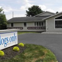 Ohio Veterinary Dental Service ico