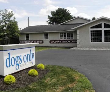 Ohio Veterinary Dental Service