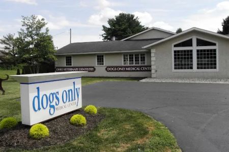 Ohio Veterinary Dental Service
