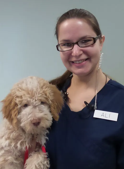 Ohio Veterinary Dental Service 12