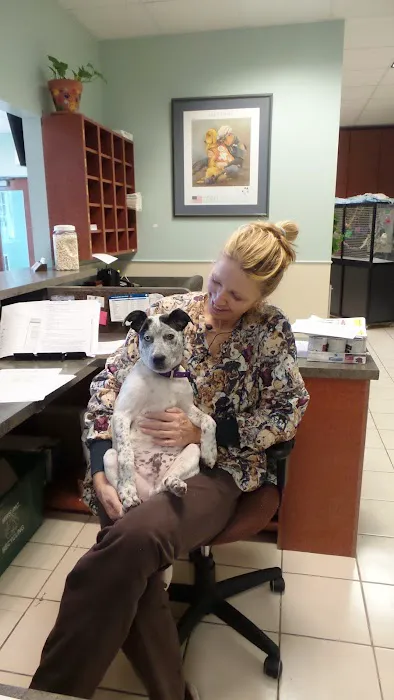 Ohio Veterinary Dental Service 12