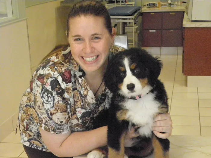 Ohio Veterinary Dental Service 12