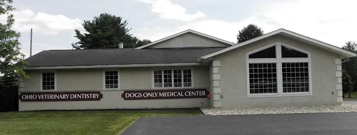 Ohio Veterinary Dental Service 12