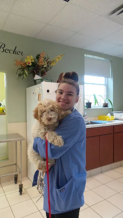 Ohio Veterinary Dental Service 12