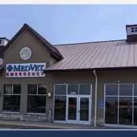 MedVet New Albany ico