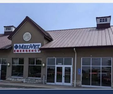 MedVet New Albany