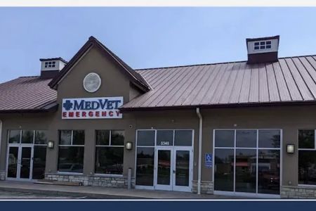 MedVet New Albany