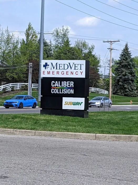 MedVet New Albany 3