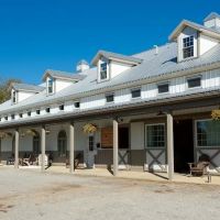 Bella Vista Equine Veterinary Services. ico