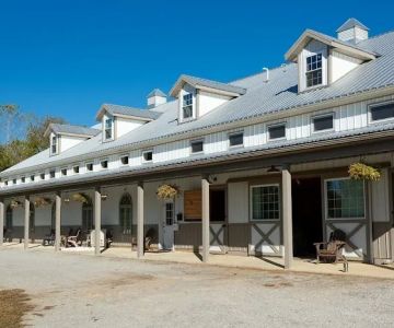 Bella Vista Equine Veterinary Services.