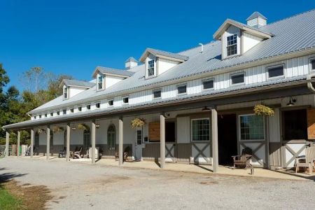Bella Vista Equine Veterinary Services.