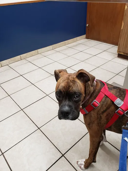 Reynoldsburg Animal Hospital 12