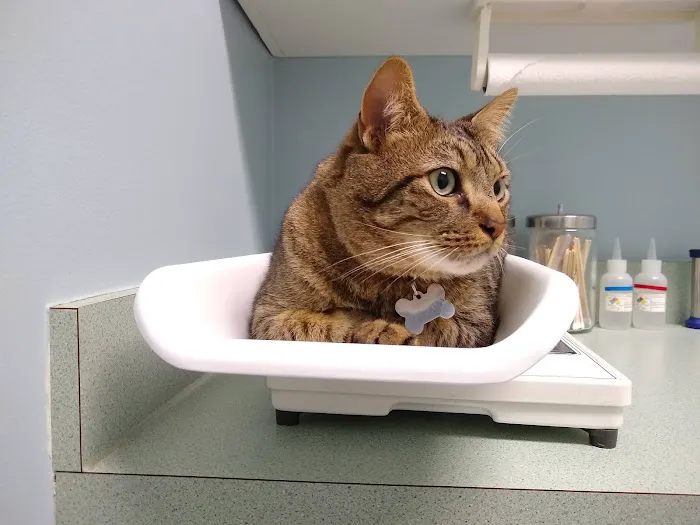 Cross Creeks Animal Hospital 12