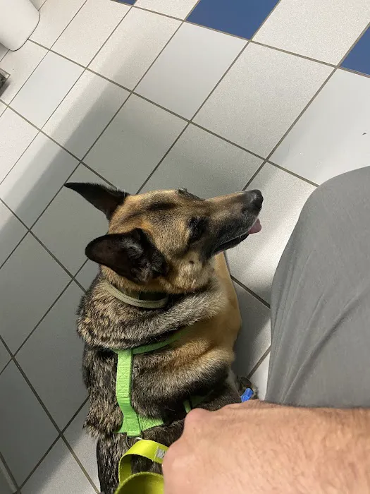 Cross Creeks Animal Hospital 12