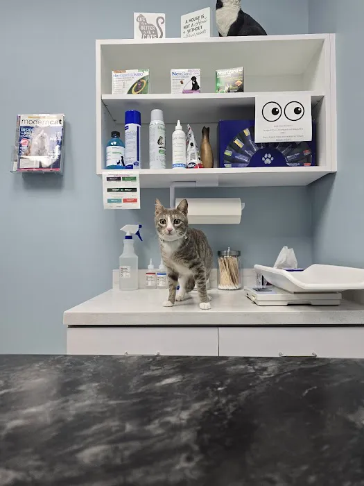 Cross Creeks Animal Hospital 12