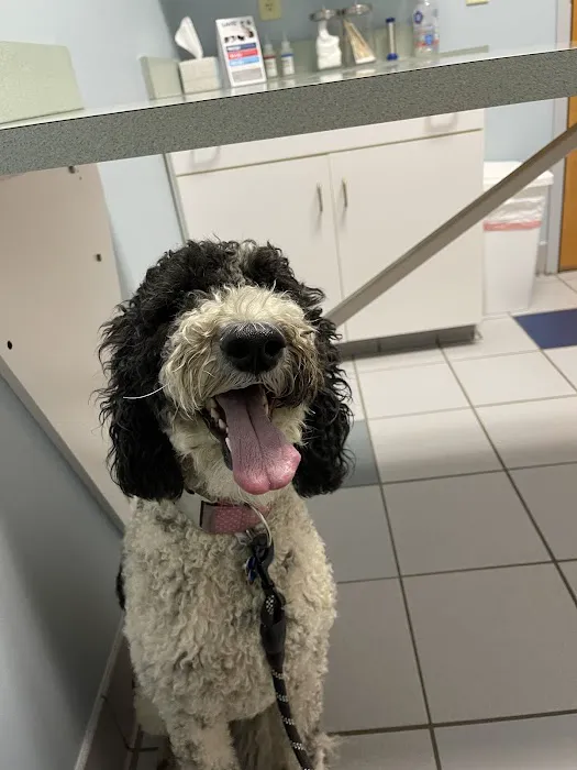 Cross Creeks Animal Hospital 12