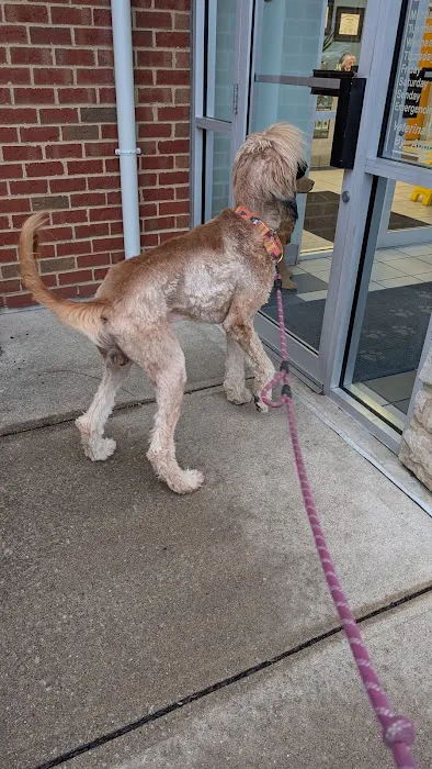 Cross Creeks Animal Hospital 12