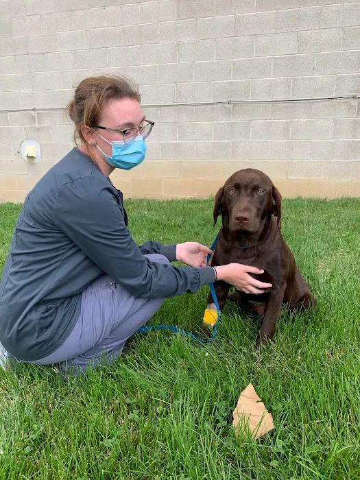Groveport Canal Animal Hospital 12