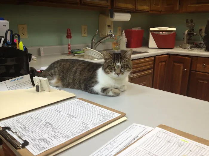 Groveport Canal Animal Hospital 12