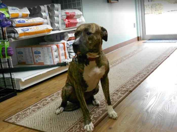 Groveport Canal Animal Hospital 12