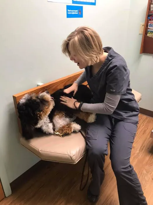 Groveport Canal Animal Hospital 12