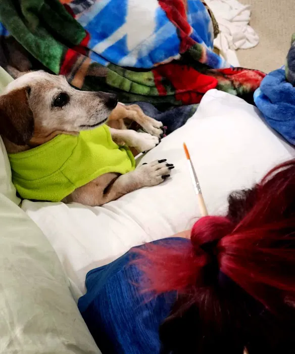 Whole Pet Wellness Center 12