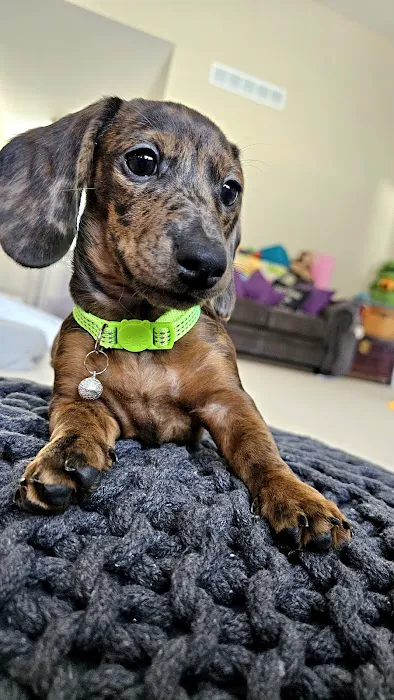 Whole Pet Wellness Center 12