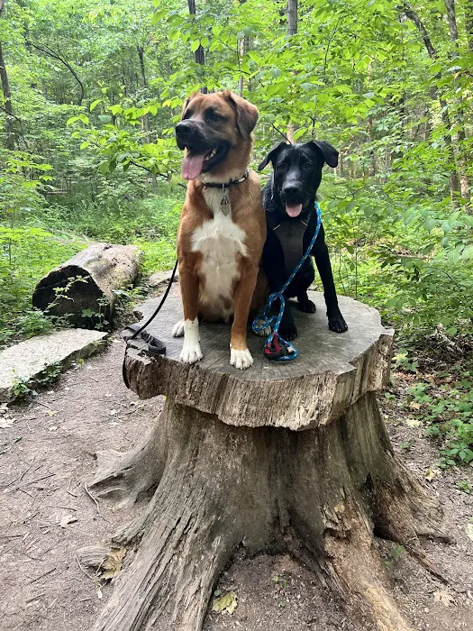 Whole Pet Wellness Center 12